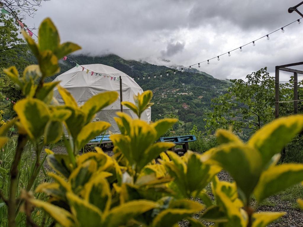 Nespecifikovaný výhled na hory nebo výhled na hory při pohledu z luxury tent