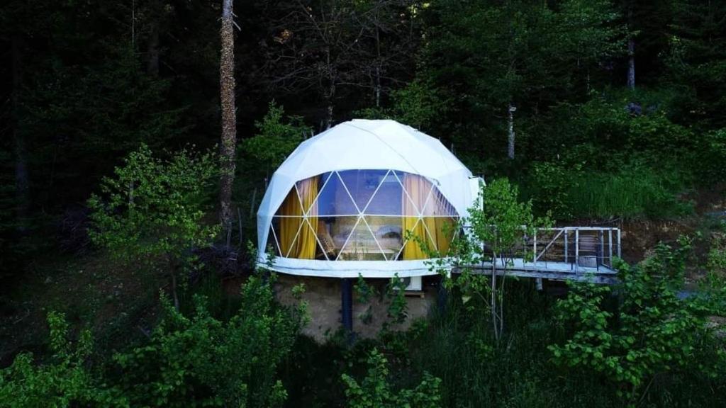 a building with a tent in the middle of a forest at Ajara Glamping Kokotauri in Keda