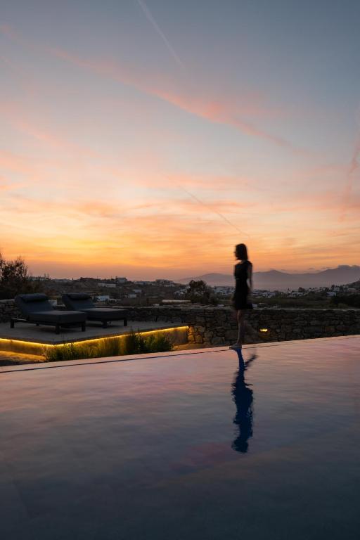 Ikies of Mykonos - 3