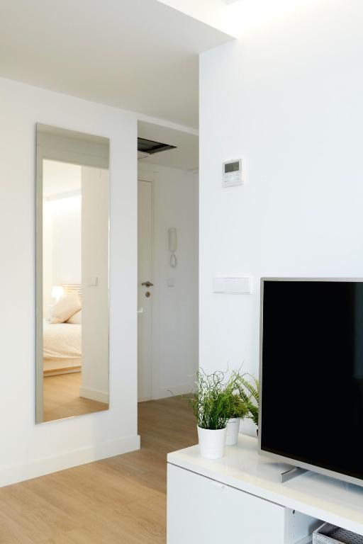 TV a/nebo společenská místnost v ubytování Precioso Loft zona Santiago Bernabéu Madrid