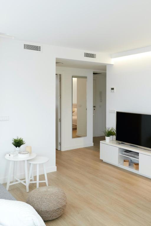 TV a/nebo společenská místnost v ubytování Precioso Loft zona Santiago Bernabéu Madrid