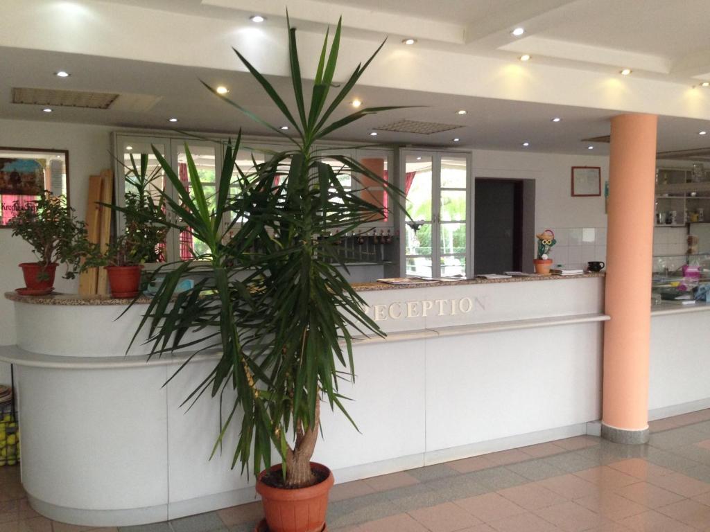 a palm tree in the lobby of a restaurant at Hotel Négy Évszak in Siófok