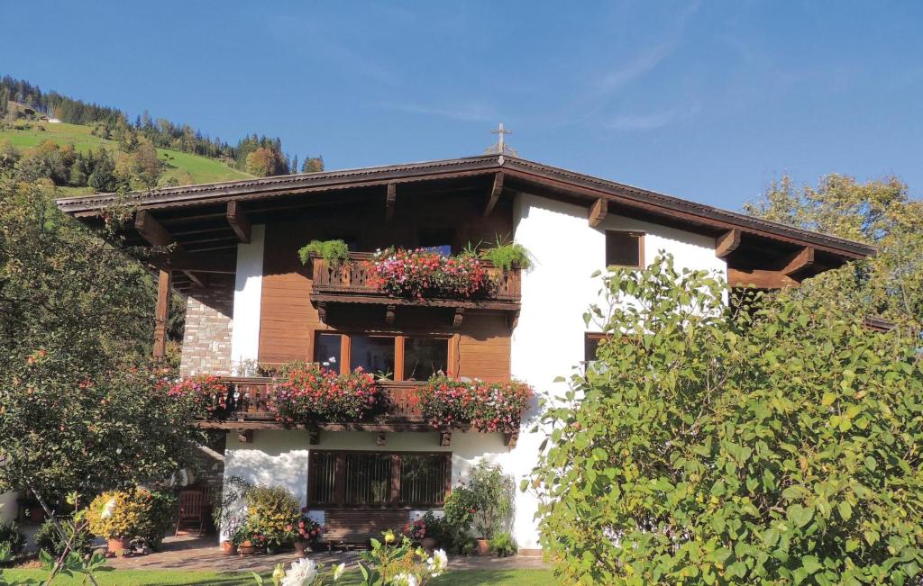 ニーデラウにあるAmazing Apartment In Niederau With House A Mountain Viewの花の咲くバルコニー付きの家