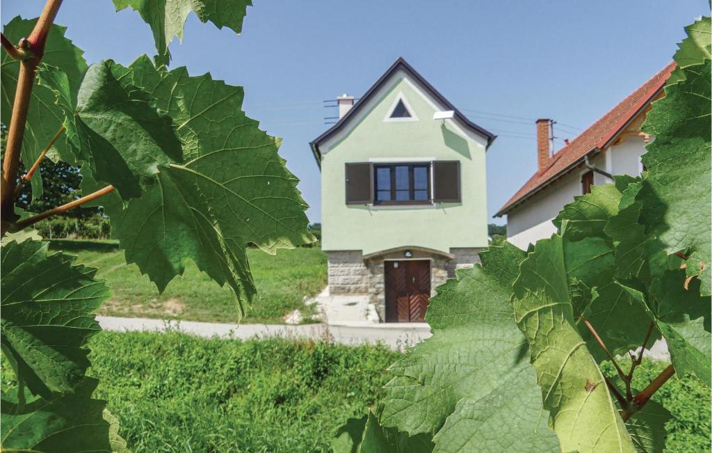 a house in the middle of a field of grapes at Ferienhaus Deutsch Schuetzen in Eisenberg an der Pinka