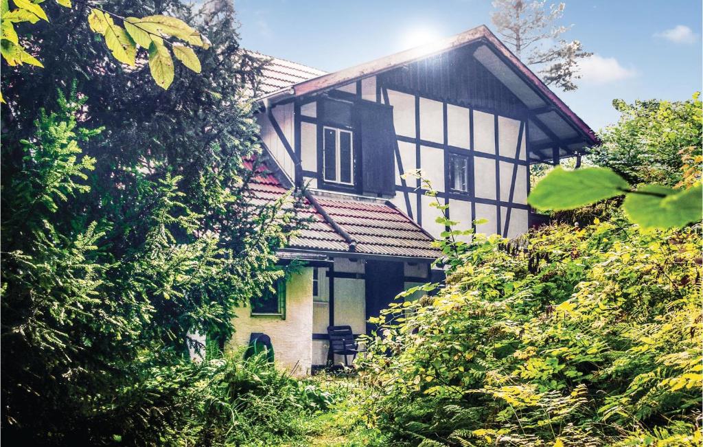 ブランケンブルクにあるAmazing Home In Blankenburg With House A Mountain Viewの白黒の家