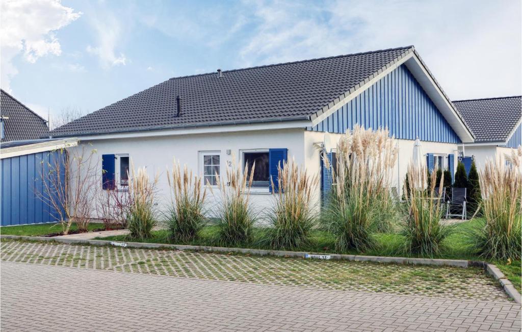 ein weißes und blaues Haus mit Pflanzen davor in der Unterkunft Ferienhaus 12 Altefhr in Altefähr