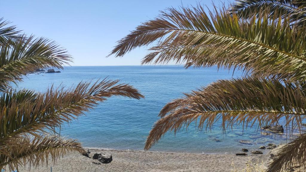 a view of the ocean from a beach with palm trees at Blue Paradise in Ierápetra