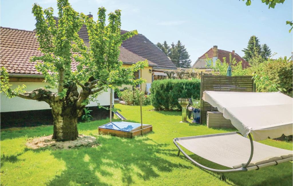 SteffenshagenにあるBeautiful Home In Steffenshagen With 1 Bedrooms And Wifiの木とブランコのある庭