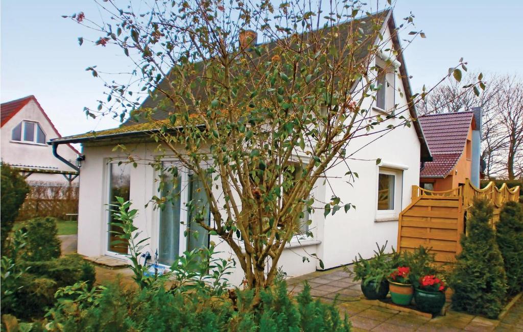 a small white house with a tree in the yard at Awesome Home In Sundhagen Ot Tremt With Kitchen in Falkenhagen