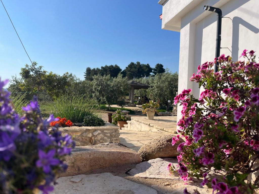 Zahrada ubytování B&B Le Cicale
