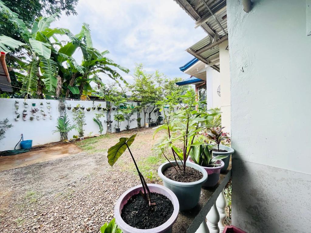 eine Reihe Topfpflanzen auf einem Balkon in der Unterkunft Homey Place with Garden view in Puerto Princesa