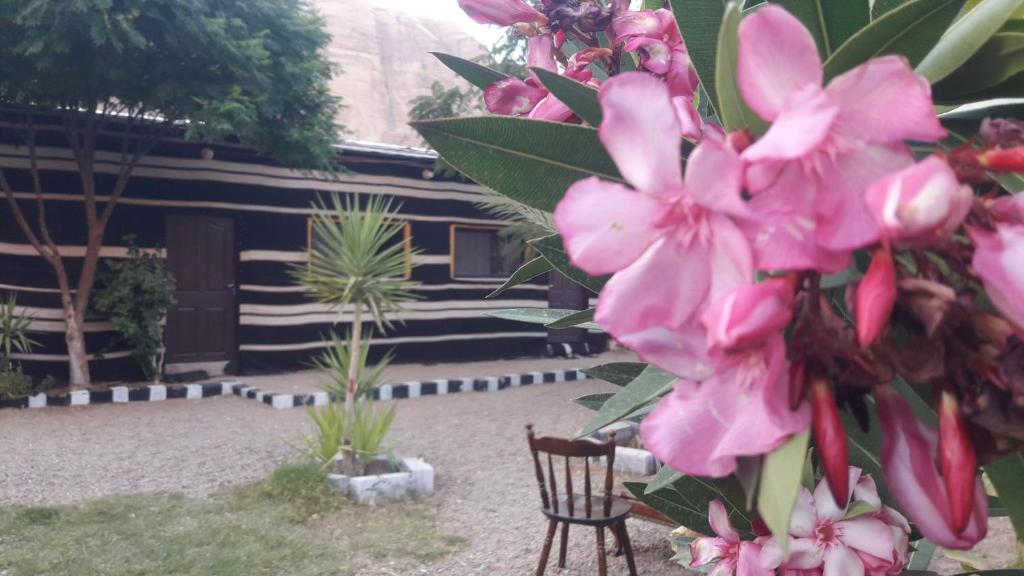 WadiRum Village Lodge - Carpa