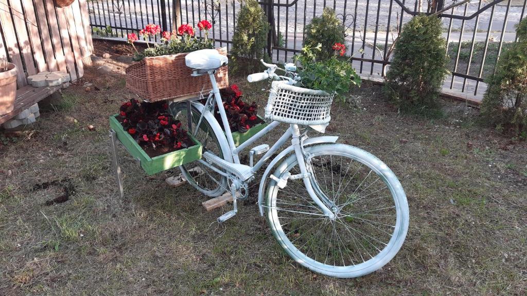 Jazda na bicykli v okolí ubytovania Nocleg nad Morzem