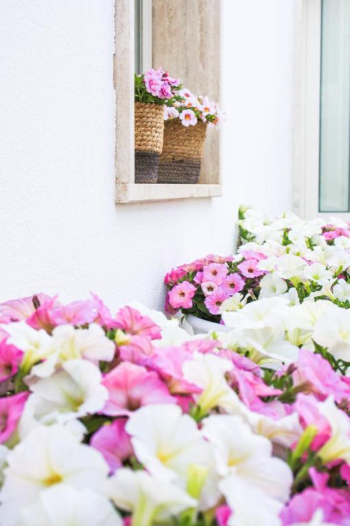 EnjoyTrulli - Unesco Site - 18