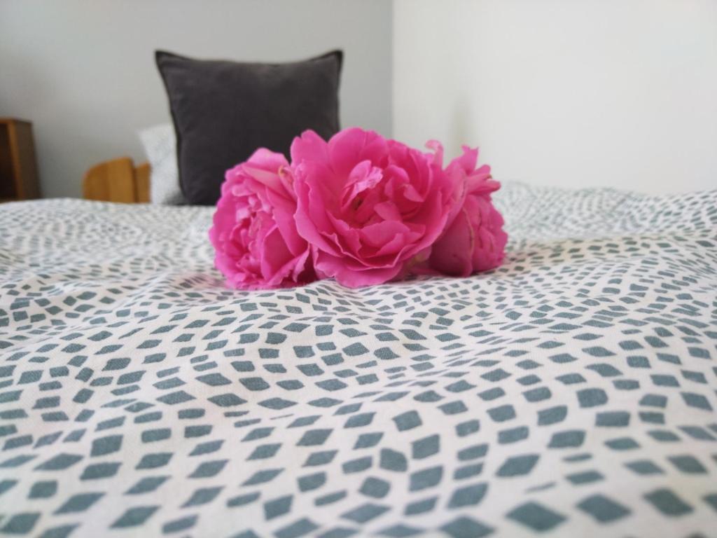 una flor rosa sentada encima de una cama en Loznica, Venera sobe en Ploča
