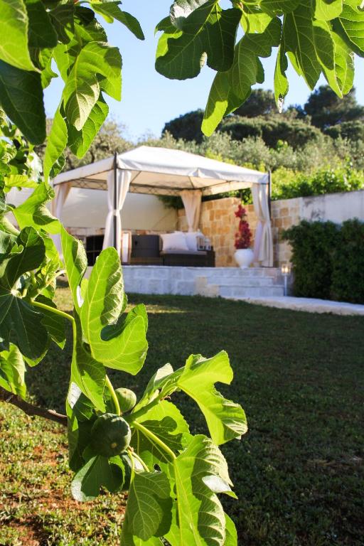 EnjoyTrulli - Unesco Site - 2