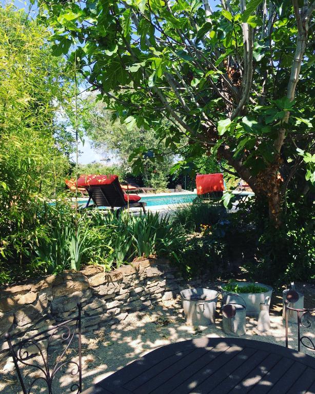 a backyard with a pool and a chair and a tree at La Mandarine in Piolenc