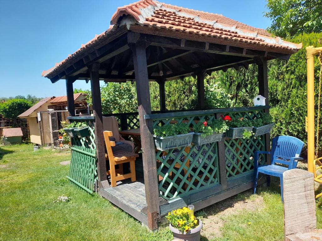 Zahrada ubytování Soba Lavanda