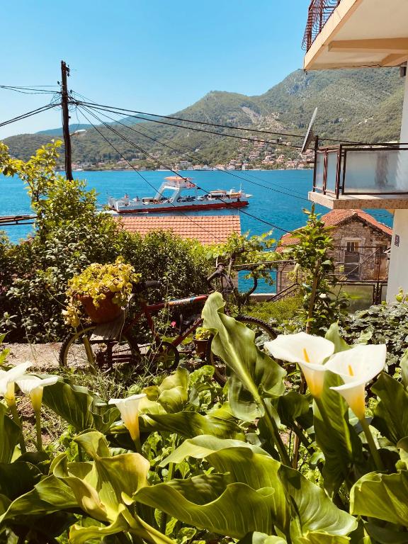 a garden with white flowers and a boat in the water at Apartments Vučinović in Tivat