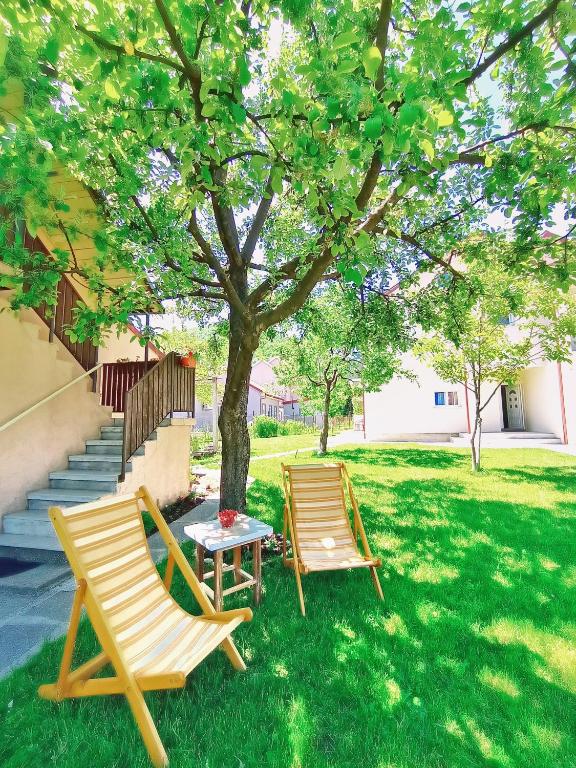 Apartments Gruda - 13