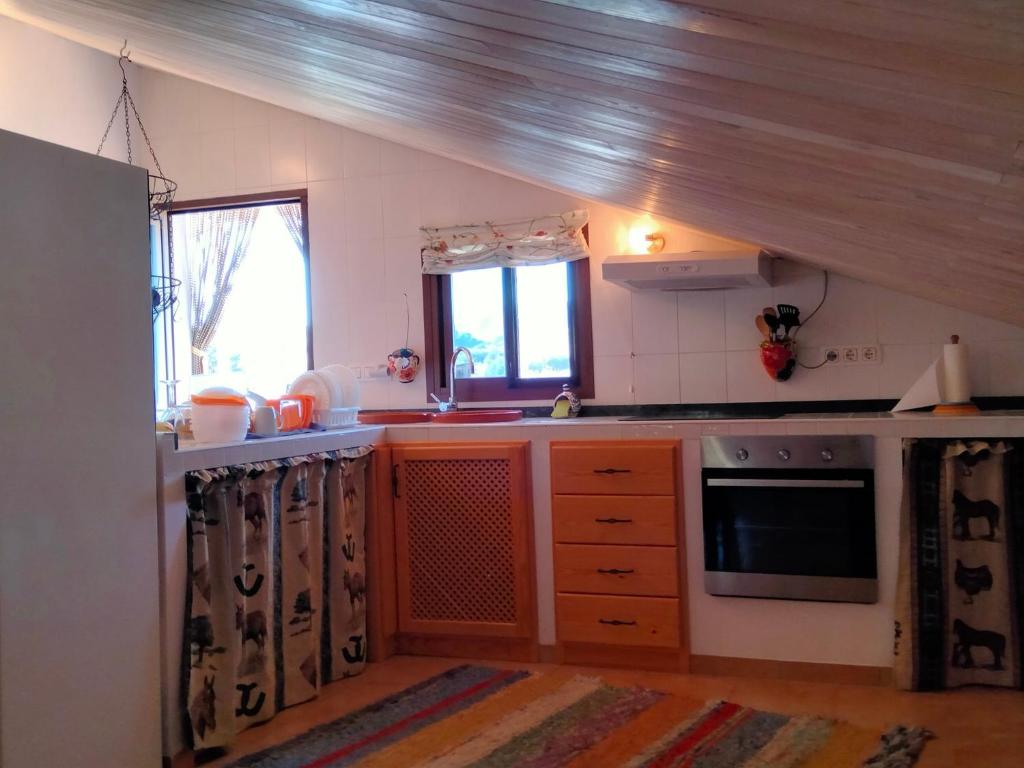 Kuchyňa alebo kuchynka v ubytovaní Finca Los Jacaros