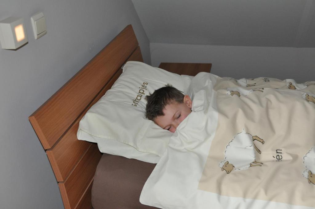 Postel nebo postele na pokoji v ubytování B&B Hoeve de Schapenkop