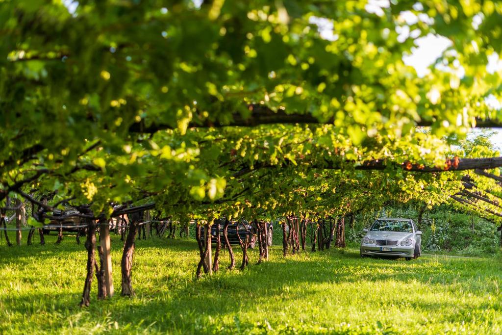 Zahrada ubytování Sandhof Ferienwohnungen