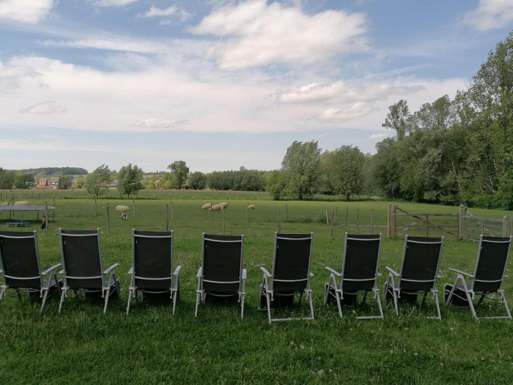 Zahrada ubytování B&B Hoeve de Schapenkop