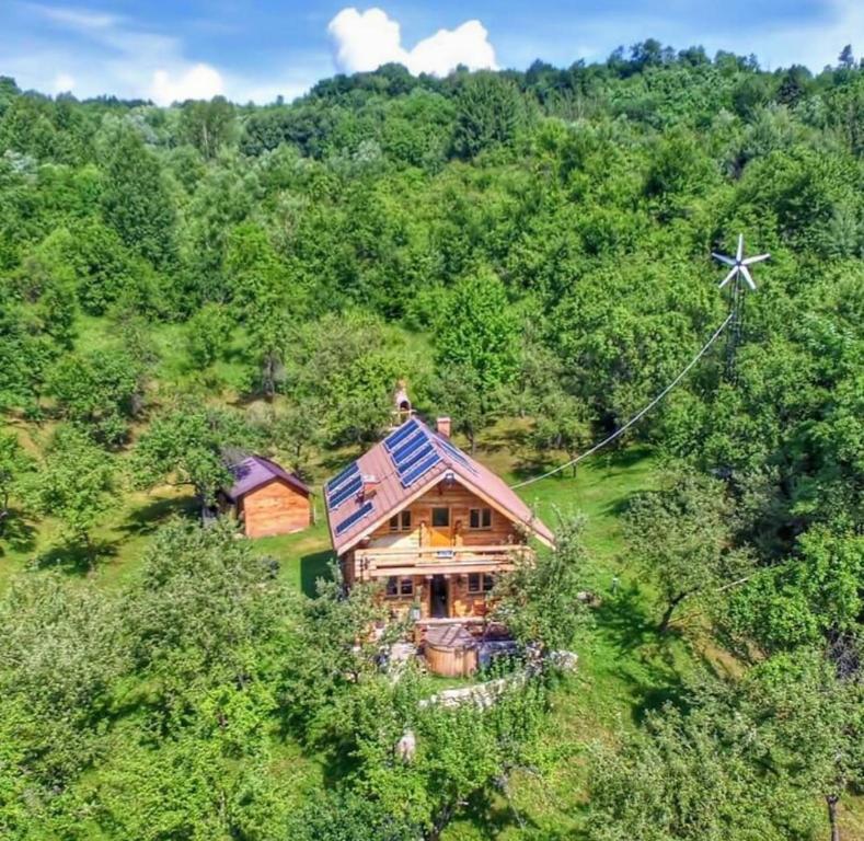 Vue de tête d'une maison au milieu d'une forêt dans l'établissement Casutele din Livada, à Corbi