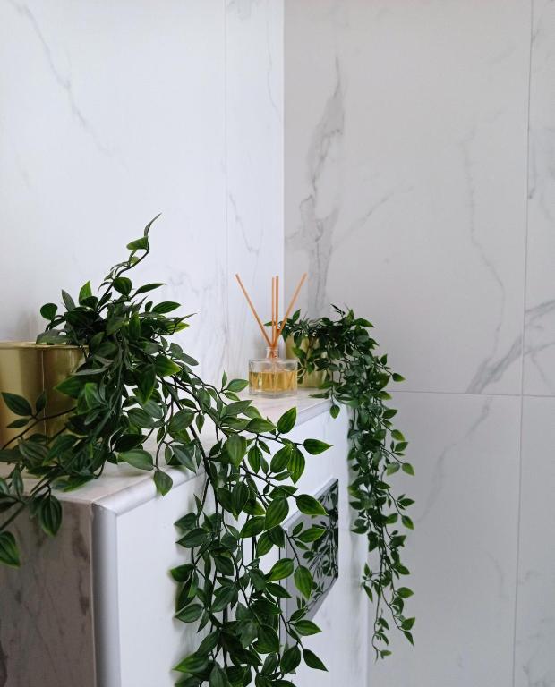 Sea Bliss Adults Only - 17