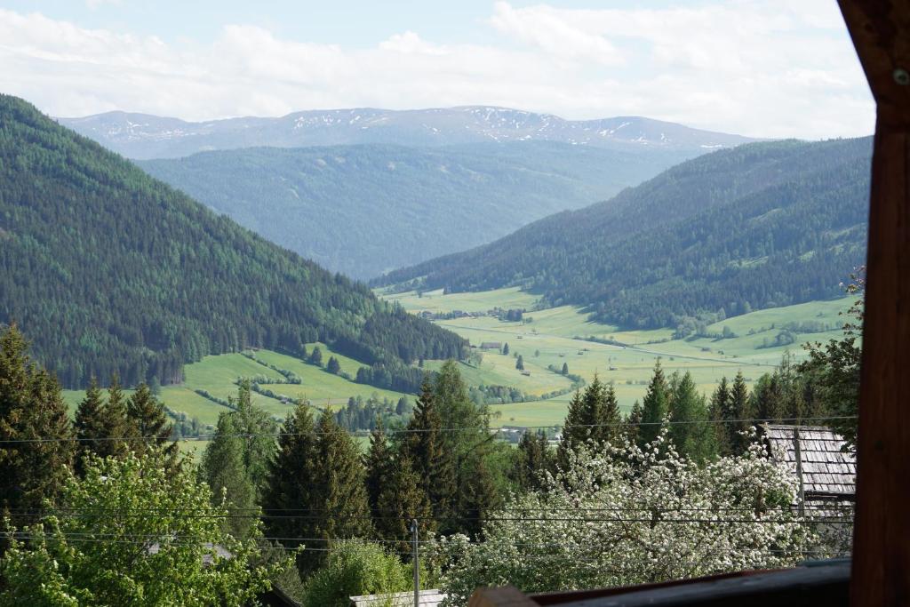 Příroda nedaleko hotelu