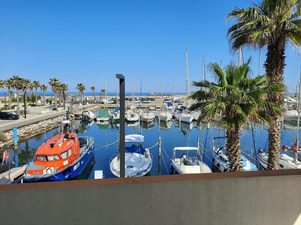 a bunch of boats are docked in a marina at Au Barcarès, vue magnifique sur le port et la mer in Le Barcarès