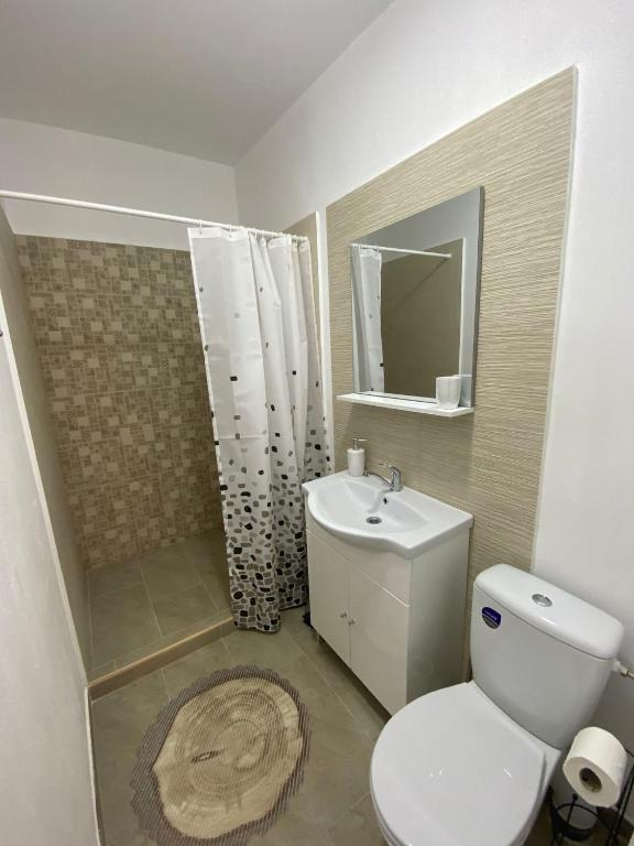 Koupelna v ubytování Casa RoxAmy