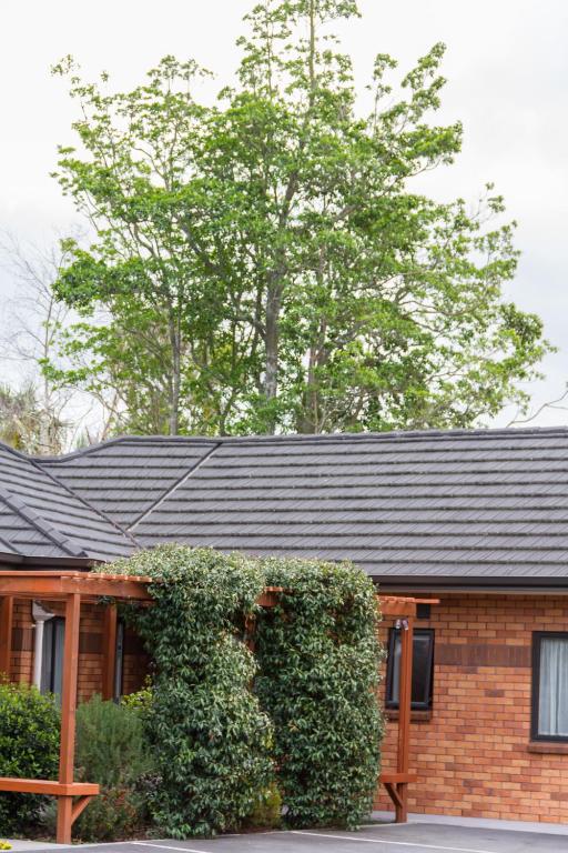 Albert Court Motor Lodge - Resim 29