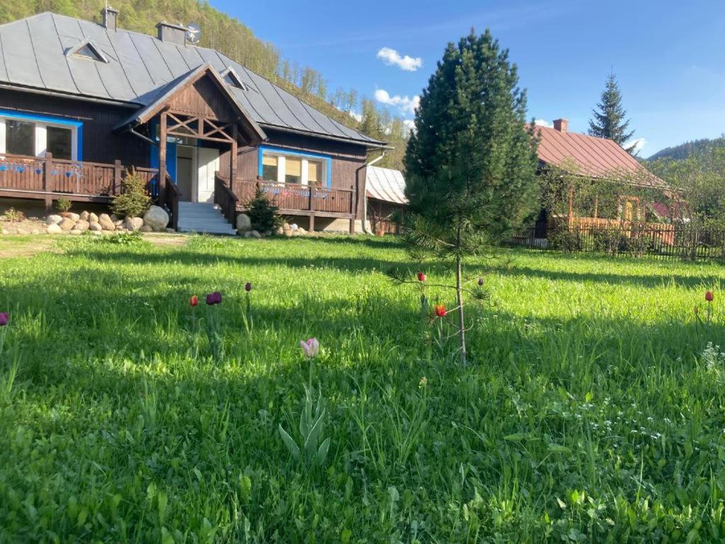 a house in a field of green grass with flowers at Chata pod Rogową Apartamenty in Javorina
