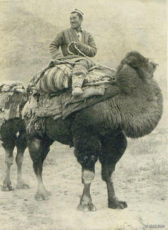 Bagysh