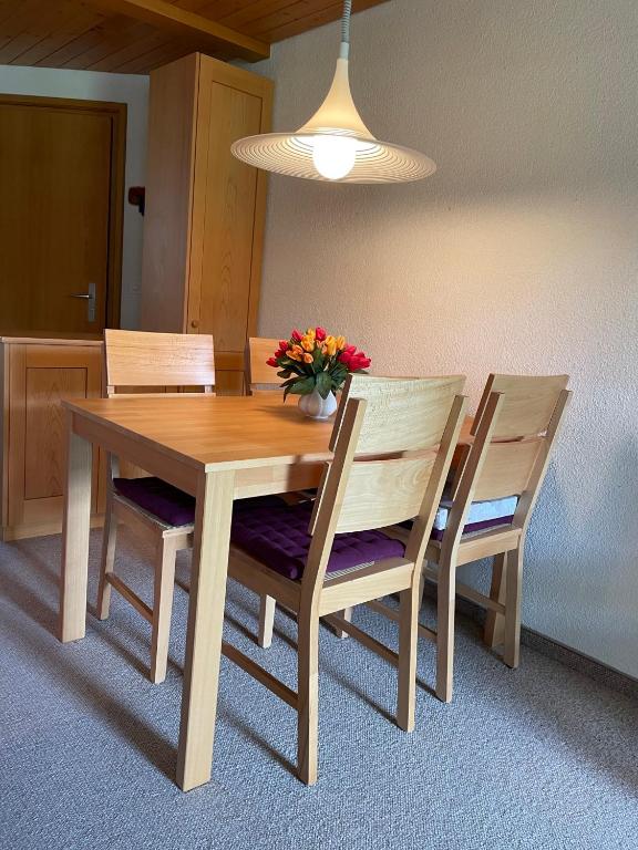 Fotografie z fotogalerie ubytování Apartment Résidence Sonnegg - Reimers - Vogel v destinaci Zweisimmen