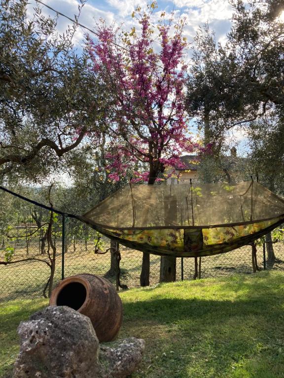 Ogród w obiekcie Le Coccole Del Trasimeno