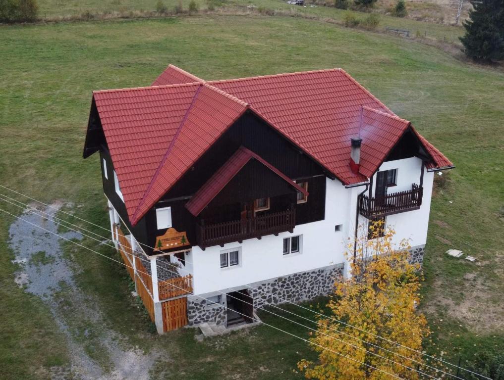an aerial view of a house with a red roof at Pensiunea Steaua Apusenilor in Călăţele