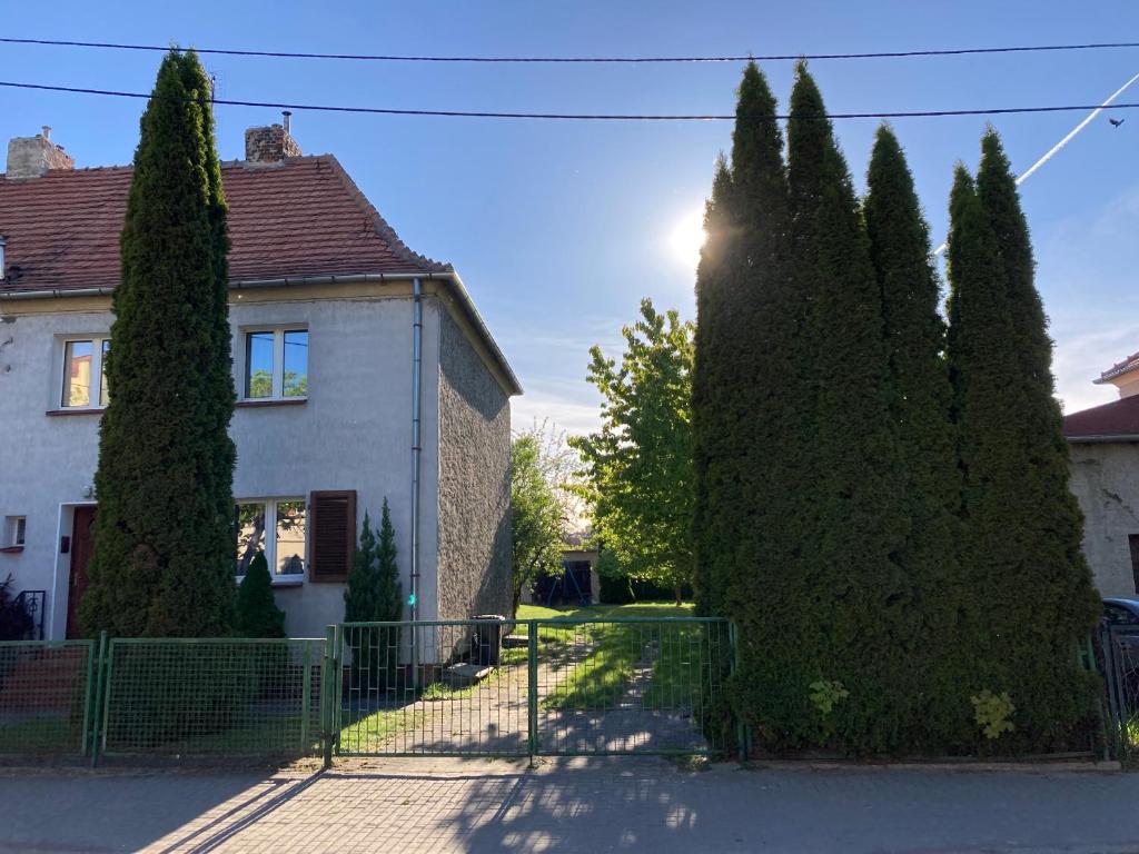 una casa blanca con árboles delante de ella en DOM OSTRÓDA-CISZA I SPOKÓJ, en Ostróda