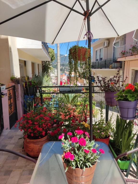 eine Terrasse mit Blumen in Töpfen und einem Sonnenschirm in der Unterkunft Napier Apartment in Argostoli
