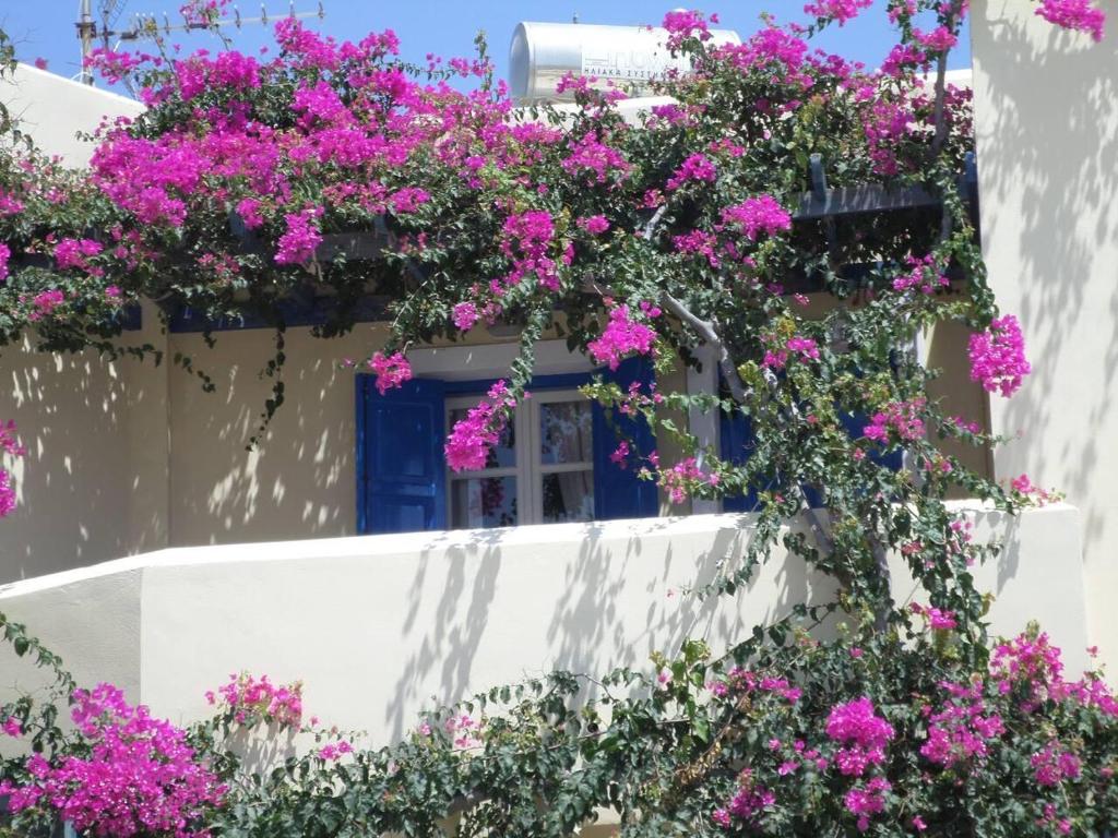 Gallery image of Santorious Flower Covered Apartment in Megalochori
