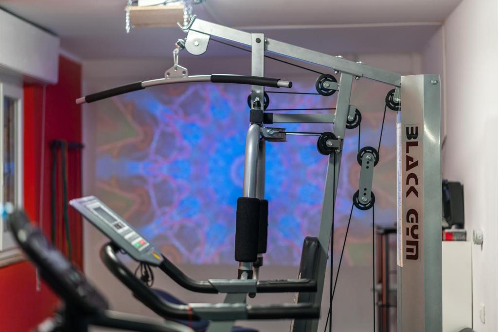 Fitness centrum a/nebo fitness zařízení v ubytování Hotel Viscount