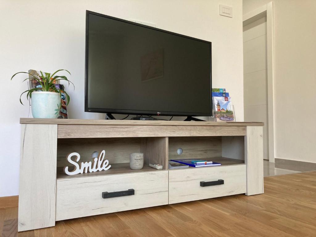 TV a/nebo společenská místnost v ubytování Apartman N&N