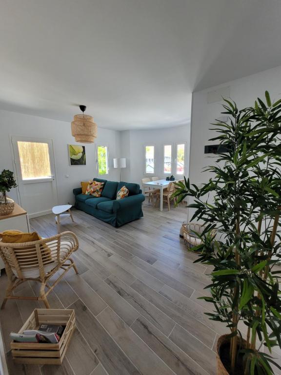 sala de estar con sofá azul y maceta en Casa FeLiz, en Tarajalejo