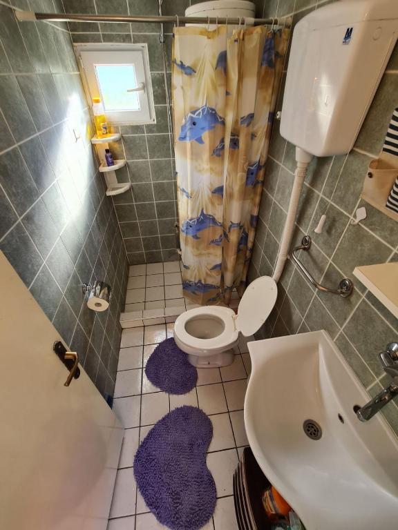 Koupelna v ubytování Apartman Koja
