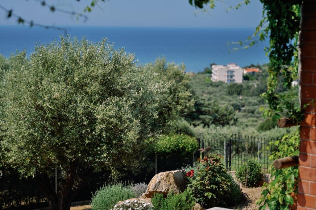 a garden with a tree and some bushes at Villa Aiolos in Alexandroupoli