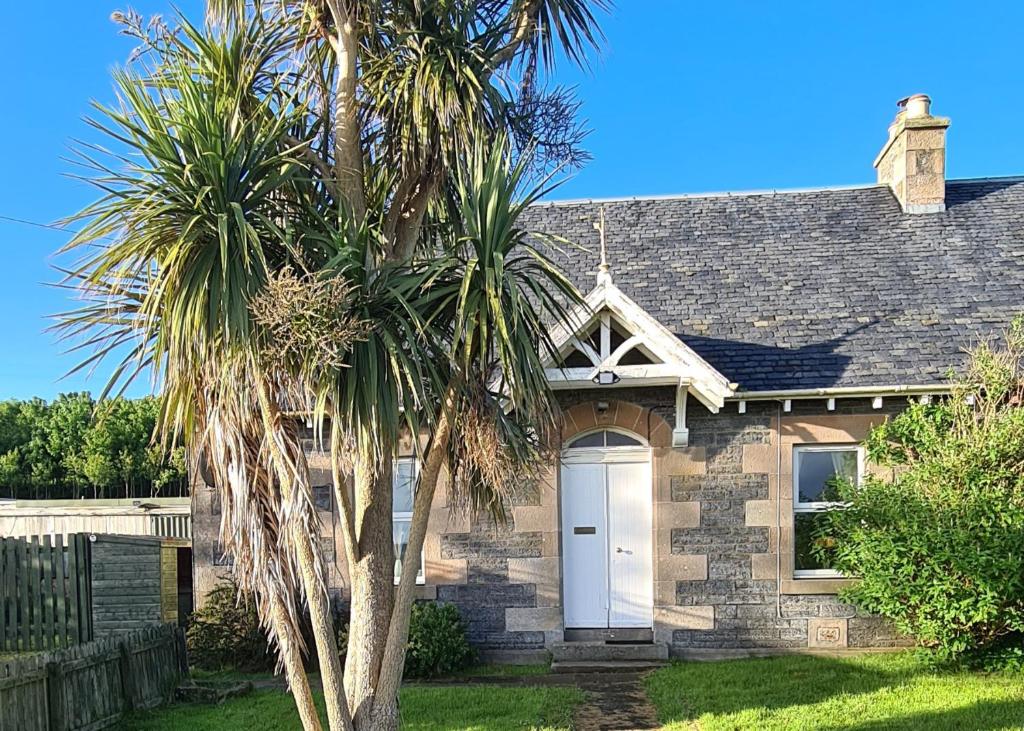 a house with a palm tree in front of it at Spacious rural cottage outside Campbeltown in Campbeltown