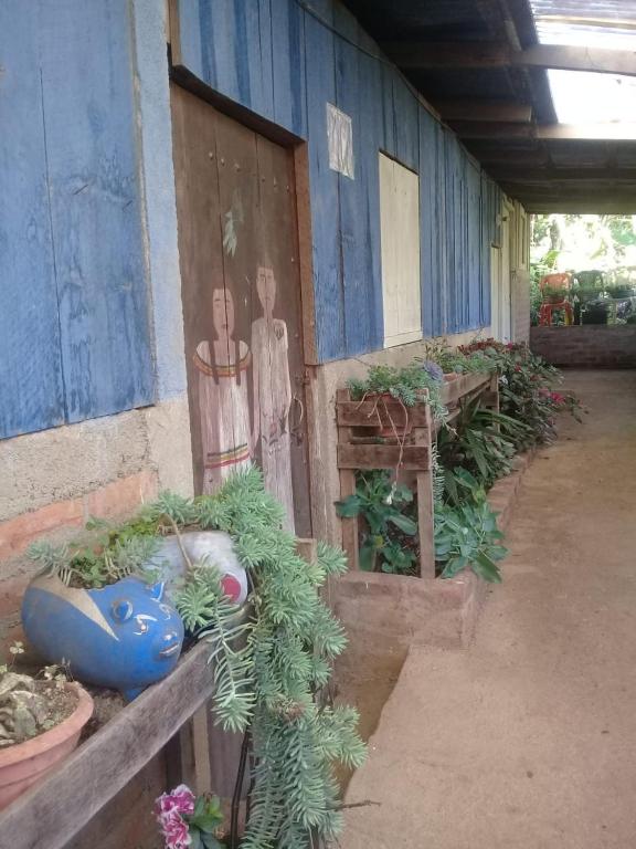 Finca Fuente de Vida photo