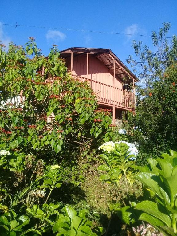 Finca Fuente de Vida photo